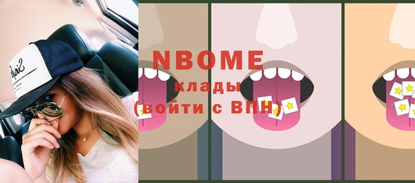 хмурый Алзамай