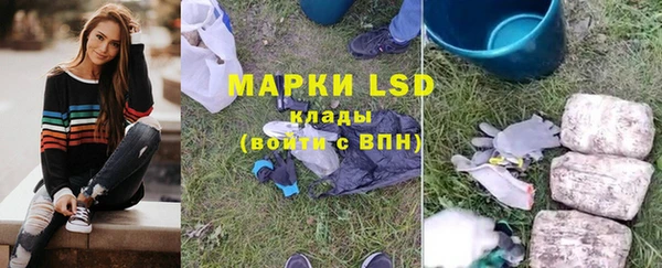 хмурый Алзамай