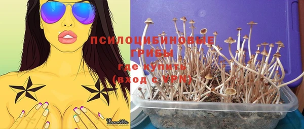 тгк Абинск
