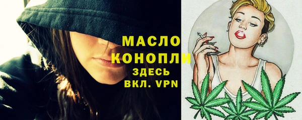 дмт Пестово