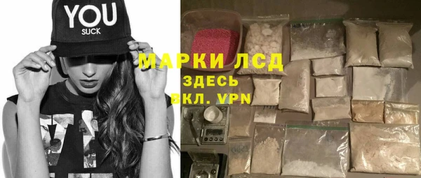 хмурый Алзамай