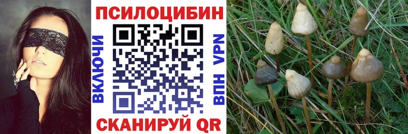Галлюциногенные грибы прущие грибы  где можно купить   Моздок 