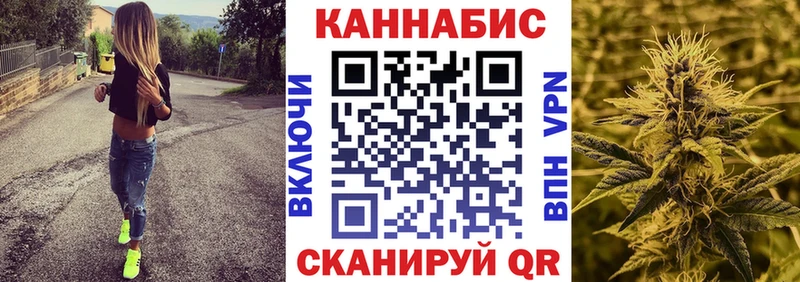 Бошки Шишки White Widow  как найти закладки  Моздок 